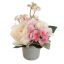 ROSE HYDRANGEA IN POT 20CM PINK