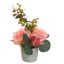 ROSE CYMBIDIUM IN POT 20CM PEACH