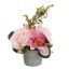 ROSE CYMBIDIUM IN POT 20CM PINK