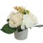 ROSE CARNATION IN POT 17CM CREAM