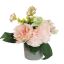 ROSE CARNATION IN POT 17CM PEACH