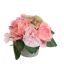 ROSE CARNATION IN POT 17CM PINK