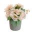 CABBAGE ROSE IN POT 20CM PEACH