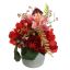 PEONY IN POT 20CM BEAUTY