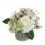 ROSE THISTLE IN POT 18CM CREAM