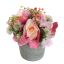 ROSE THISTLE IN POT 18CM PINK