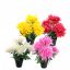 MUM BUSH IN POT 30CM ASSORTED