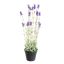 LAVENDER IN POT 62CM LAVENDER