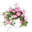 HANGING MORNING GLORY IN POT 66CM BEAUTY