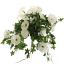 HANGING MORNING GLORY IN POT 66CM CREAM