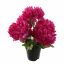 MUM IN POT 33CM LAVENDER