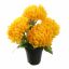 MUM IN POT 33CM YELLOW
