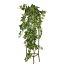 HANGING BUSH X 9 W/221LVS IN POT D:9 CM HOLLAND