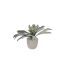 59010106 GREY.jpg