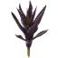 ALOE PICK 22CM PURPLE