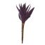 ALOE PICK 34CM PURPLE