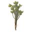 SUCCULENT PIC BUNDLE (5 pcs) 22CM GREEN