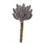 MEDIUM SUCCULENT 15CM BURGUNDY
