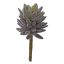 LARGE SUCCULENT 18CM BURGUNDY
