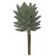 LARGE SUCCULENT 18CM GREEN