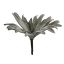 SMALL PLATYCERUM PLANT 30CM GREY