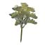 SUCCULENT PICK 17CM GREEN
