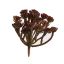 MINI AGAVE SPRAY 12CM BURGUNDY