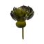 AGAVE 12CM GREEN
