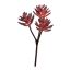 SUCCULENT PICK X 3 22CM BURGUNDY