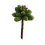 SUCCULENT PICK 11CM GREEN