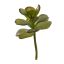 SUCCULENT PICK 15CM GREEN