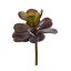 SUCCULENT PICK 15CM PURPLE GREEN