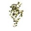 HANGING IVY VINE 84CM W/88 LVS HOLLAND IVY