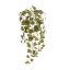 HANGING IVY VINE 107CM W/140 LVS ENGLISH IVY
