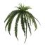 BOSTON FERN 120CM GREEN