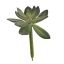 MEDIUM AGAVE GREEN