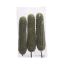 CACTUS PICK 15CM (3pcs/bag) - price/bag GREEN
