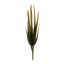 ALOE PICK 24CM GREEN