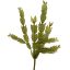 CACTUS PICK X 4 30CM GREEN