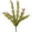 CACTUS PICK X 4 30CM ORANGE