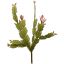 CACTUS PICK X 4 30CM PINK