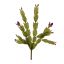 CACTUS PICK X 4 30CM PURPLE