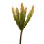 CACTUS PICK X 8 21CM ORANGE
