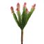 CACTUS PICK X 8 21CM PINK