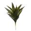 AGAVE PICK 18CM GREEN