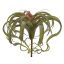 LARGE TILLANSIA PLANT 28CM RED GREEN