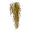 MAIDEN FERN HANGING BUSH 87CM GREEN RED