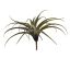 LARGE TILLANSIA 34CM GREEN