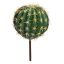 BALL CACTUS 25CM GREEN