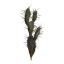 PRICKLY CACTUS 38CM GREEN
